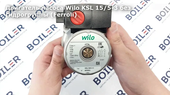 Двигатель насоса Wilo KSL 15/5-3 без гидрогруппы (Ferroli) [5698260]