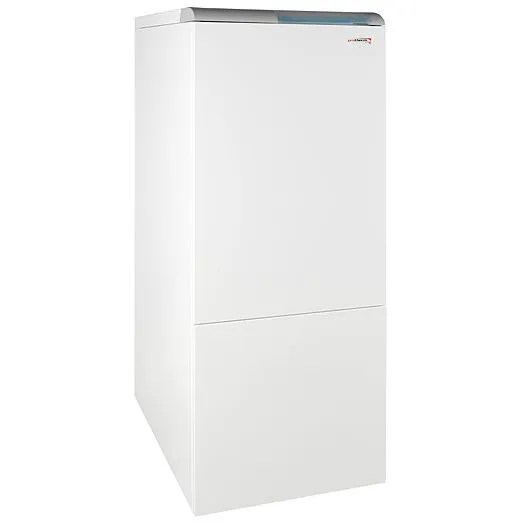 Газовый котёл Protherm Медведь 40 KLZ со встроенным бойлером 90л-0